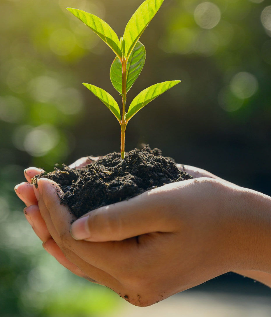 India's ESG Reality Check: What 1,000+ Companies Are Actually Reporting